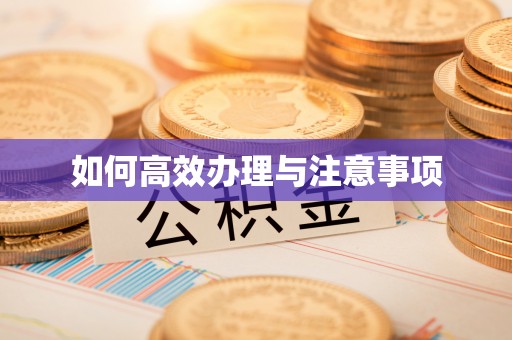 灌阳如何高效办理与注意事项