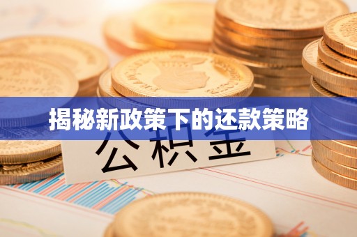 灌阳揭秘新政策下的还款策略